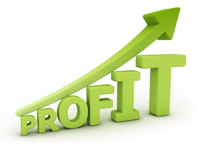 How Much Profit Should You Expect To Make?